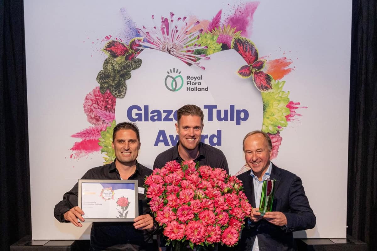 Glazen Tulp Award 2025